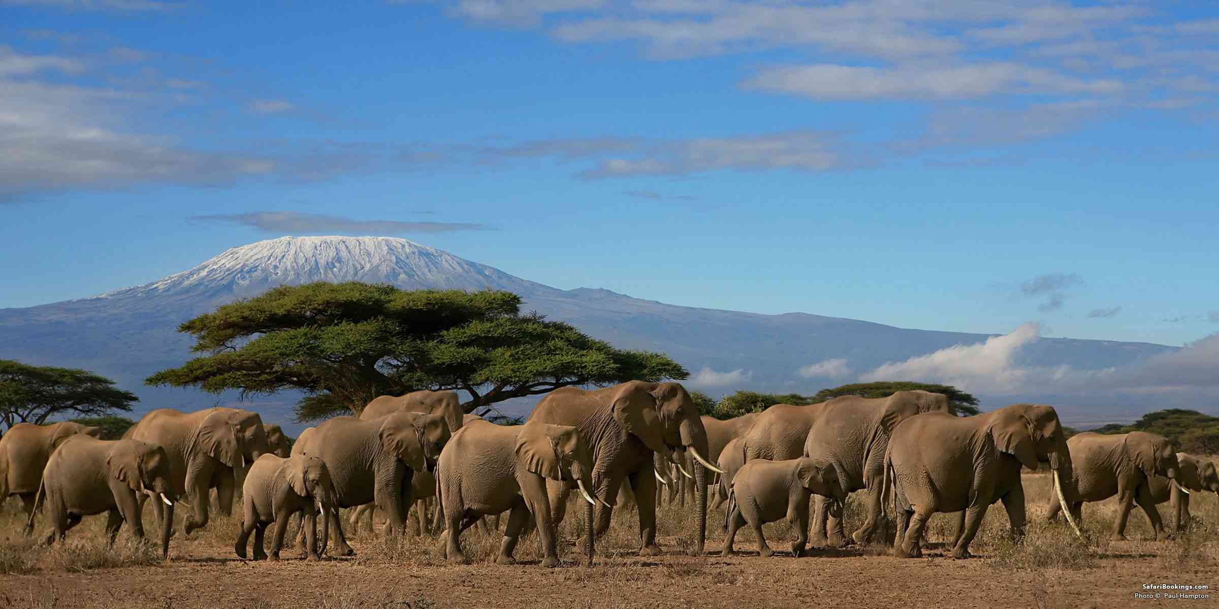 00-the-best-east-african-safari-tours-BW-header1200px